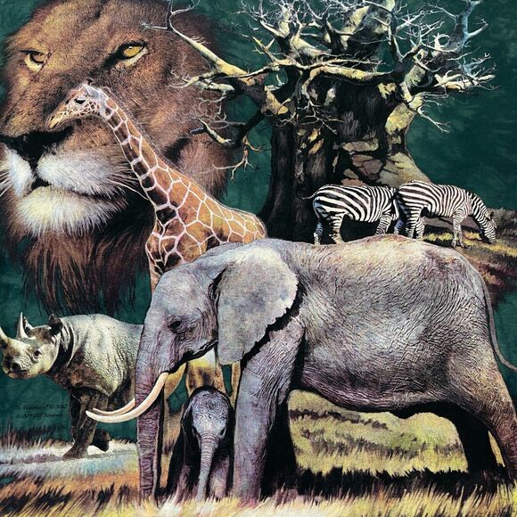 Vintage The Mountain Mens Shirt Size Medium M Short Sleeve Tee T Green Africa - Picture 2 of 9